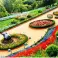Explore the lush beauty of Ooty's Government Botanical Garden with our taxi rental service.