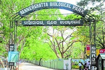 Visit Bannerghatta Park with taxi services to see animals, take safari rides, and explore nature.