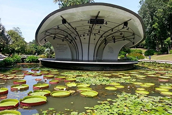 Reach the botanical garden by taxi or cab; tropical plants attract families for a relaxing visit.