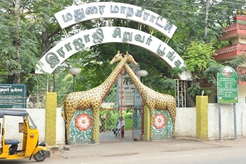 Enjoy a peaceful outing at Rajaji Park with the best taxi rides for a relaxing day.