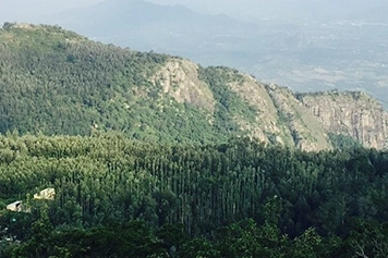Plan a travel package to Shevaroy Hills for trekking and scenic views of Salem’s countryside.