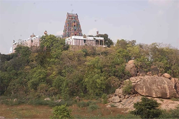 Travel to Viralimalai Murugan Temple with easy taxi services; plan your visit hassle-free today.
