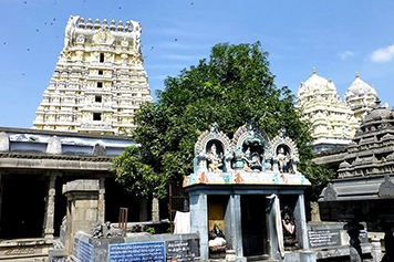 Book Taxi Package at Ekambareswarar Temple in Kanchipuram Book Kanchipuram tour package at Ekambareswarar Temple with taxi service available in Kanchipuram.