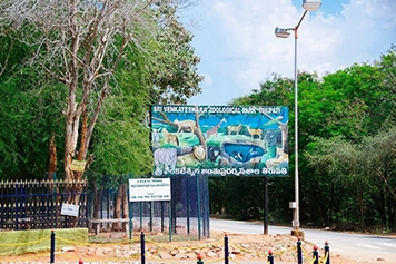 Cab Booking to Venkateshwara Zoological Park, Tirupati Cab booking services to Venkateshwara Zoological Park in Tirupati for a comfortable visit.