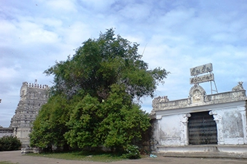 Hire Cab for a Memorable Visit to Thirupachur Shiva Temple Hire a cab for a memorable visit to Thirupachur Shiva Temple with customisable travel options.