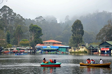 Visit Kodai Lake Trip Form Chennai to Kodaikanal With Taxi Enjoy a smooth Chennai to Kodaikanal ride and explore the serene beauty of Kodai Lake with ease.