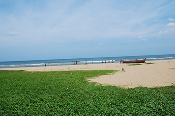 Plan a peaceful trip to Kottur Beach in Cuddalore with taxi service from Chennai.